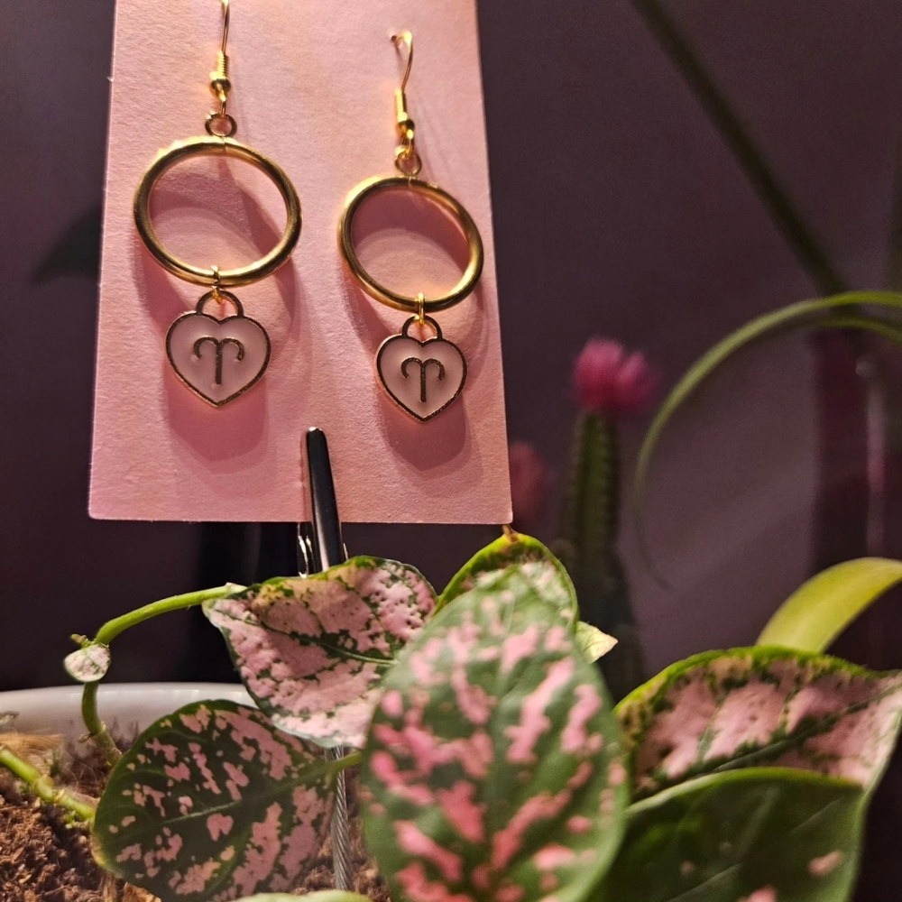 Aries ♈️ pink heart hoop earrings